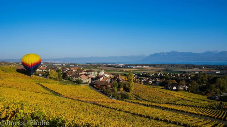 Notre montgolfière au dessus de la campagne